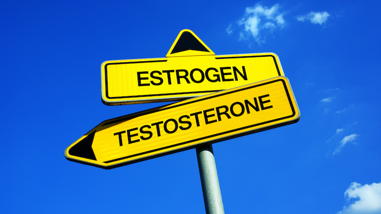 estrogen testosterone