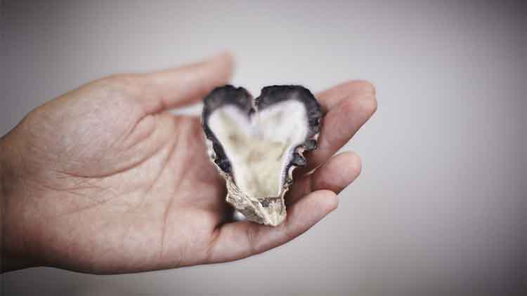 heart shaped oyster