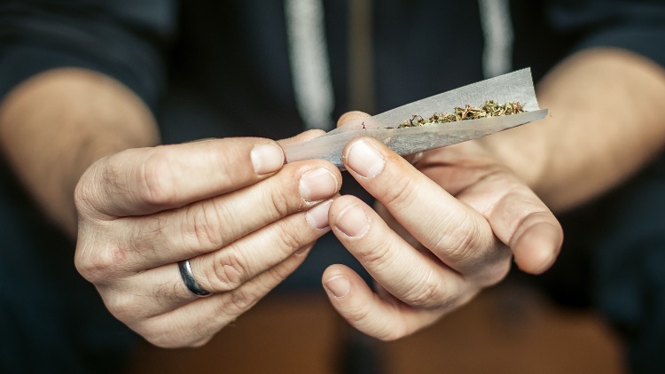 Preparing and rolling marijuana cannabis joint